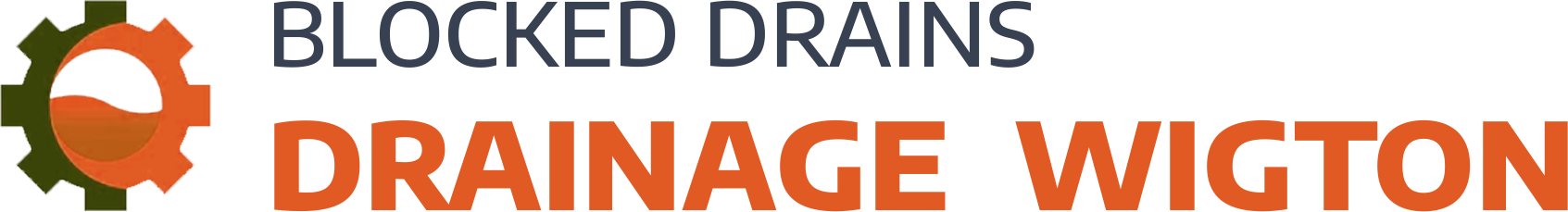 website logo
